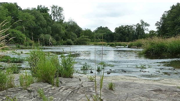 Rappel : Journée d’information sur l’aménagement des bandes riveraines