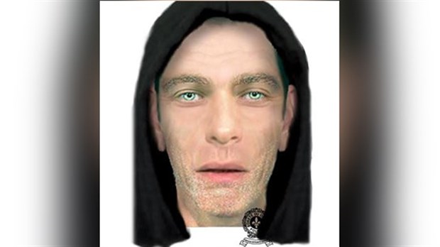 Êtes-vous en mesure d'identifier cet individu ?