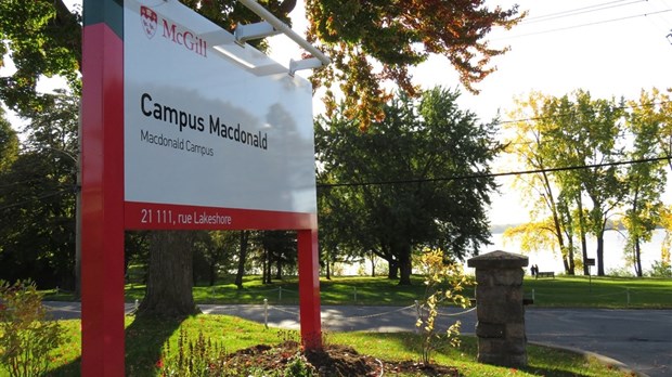 Le campus Macdonald de l’Université McGill est en nomination dans le programme campus équitable de l’organisme Fair Trade Canada.