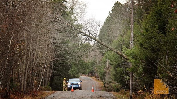 Hydro-Québec le confirme : la tempête du 1er novembre n'a rien à voir avec la crise du verglas