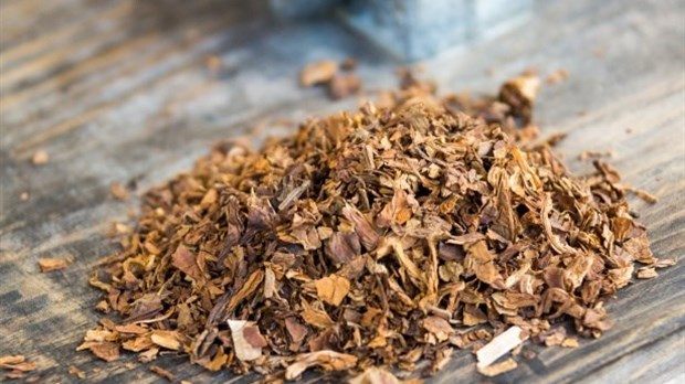 Près de 5 000 kilos de tabac de contrebande ont été saisis sur le territoire de Vaudreuil-Soulanges