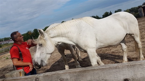 Septembre 2019 : des chevaux, Francis Lafrenière et Pointe-des-Cascades font les manchettes