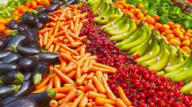 41 634 dépannage alimentaire d'urgence pour Moisson Sud-Ouest en 2018