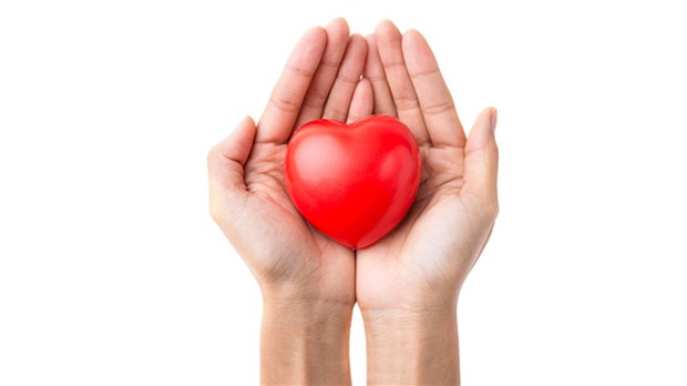 Le Centre d'action bénévole L'Actuel dévoile son nouveau site Web