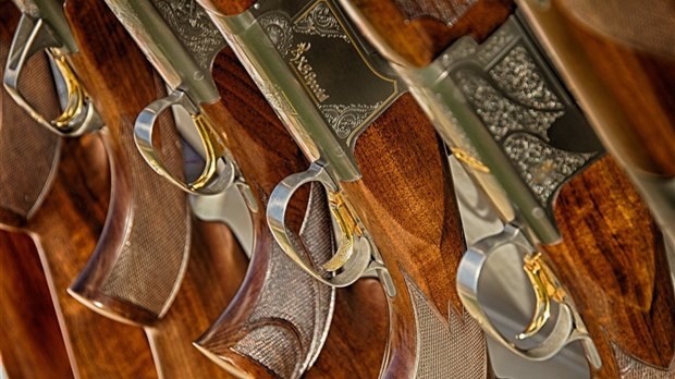Rigaud s'oppose à la Loi sur l'enregistrement des armes à feu sans restriction.