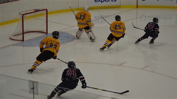 Belles performances en hockey masculin et en basketball en fauteuil roulant 
