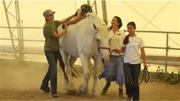 Un spaghetti pour soutenir le Centre équestre thérapeutique Marie-Laurence 