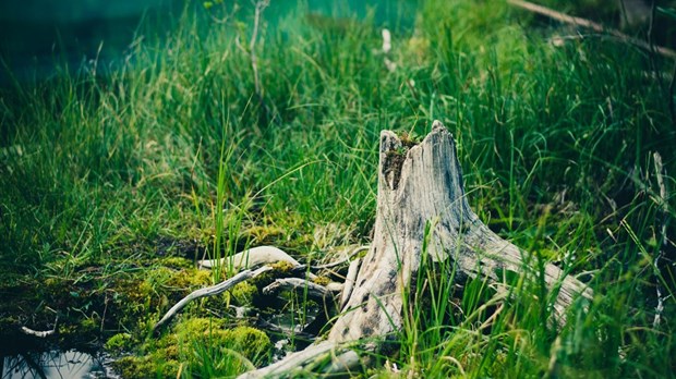 Séance d'information pour la valorisation des milieux naturels à Les Cèdres