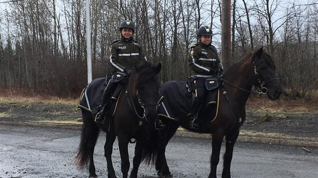 La SQ fait appel à sa patrouille équestre à Rigaud