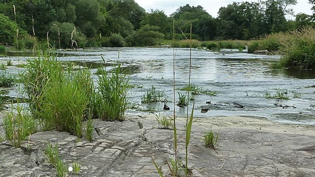 Découvrez la rivière Delisle lors de l'Excursion en canoë-kayak-vélo du COBAVER-VS