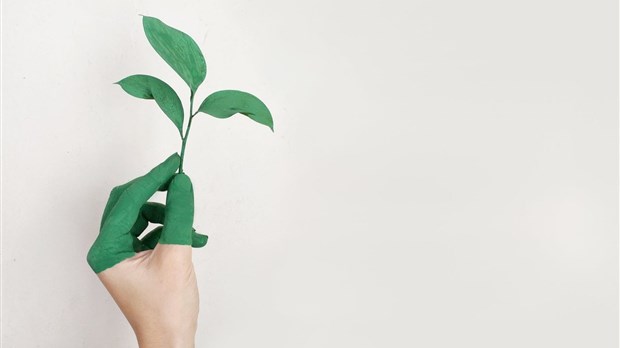 Saint-Zotique souhaite se doter d’un outil de planification et d’orientation face aux changements climatiques.