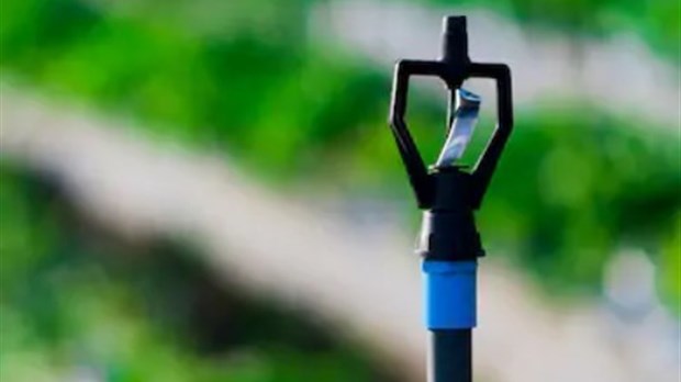 Utilisation extérieure excessive de l’eau distribuée par les réseaux d’aqueducs municipaux à Saint-Lazare