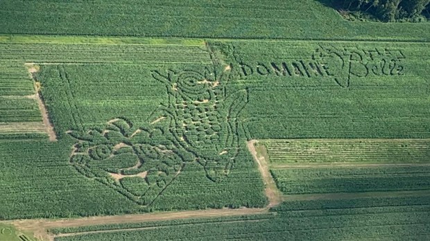 Le Belle de Coteau-du-Lac et la Ferme Isabelle vous ouvrent leurs portes le 8 septembre
