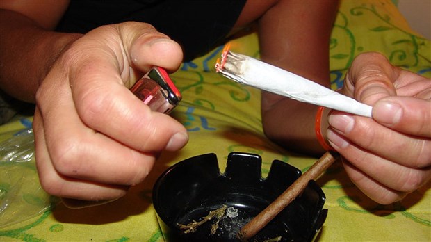 Cannabis: de nouvelles mesures visant la consommation de drogue sont entrées en vigueur