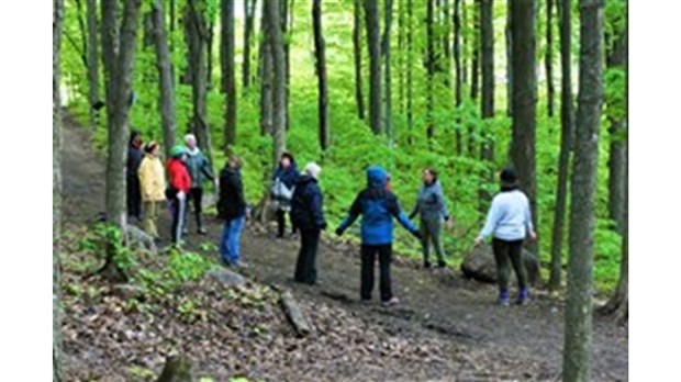 Séance d’immersion en forêt avec guide certifié à Rigaud, le samedi 24 août 