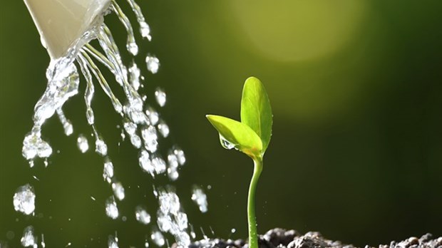 Les Écodécouvertes :  Une série de conférences à caractère environnemental