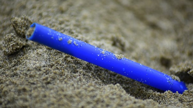  « Nous sommes plus déterminés que jamais à agir en interdisant les plastiques nocifs à usage unique comme nous l’avons promis » - Peter Schiefke
