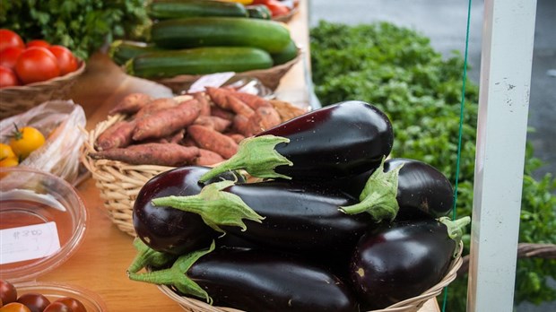 Les Virées gourmandes de la Montérégie: des aliments locaux et de saison en boites