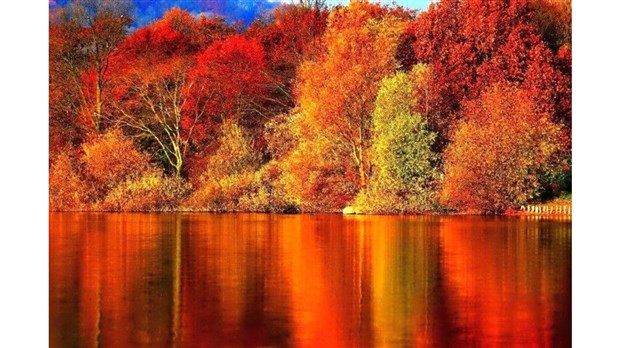 Partagez-nous vos photos des couleurs de Vaudreuil-Soulanges - Galerie 4