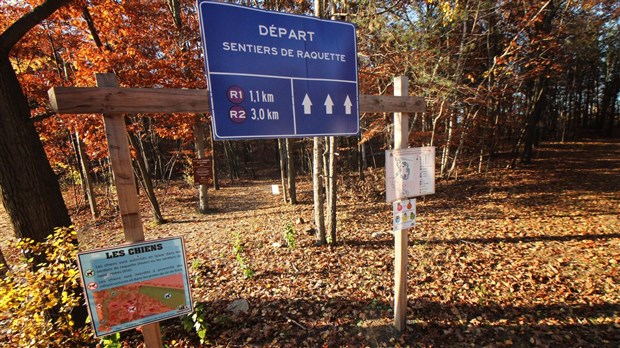 Trame bleue et verte: Saint-Lazare veut investir dans le Parc nature les Forestiers