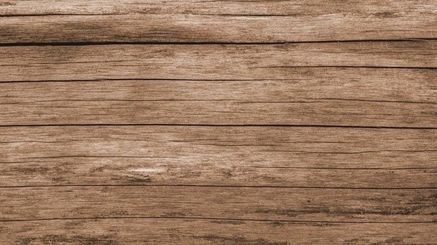Comment bien prendre soin de son revêtement extérieur en bois