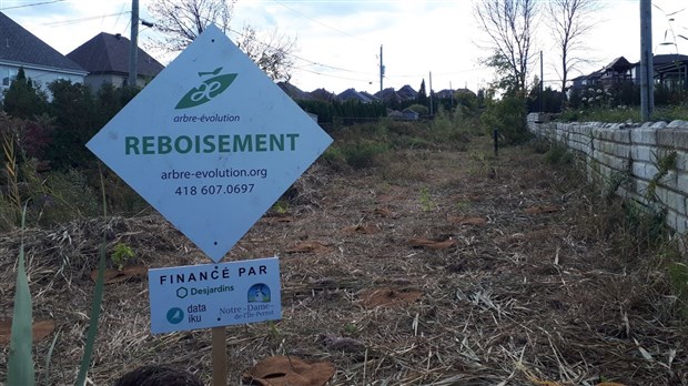 Notre-Dame de l'Île-Perrot plante 1000 arbres et arbustes