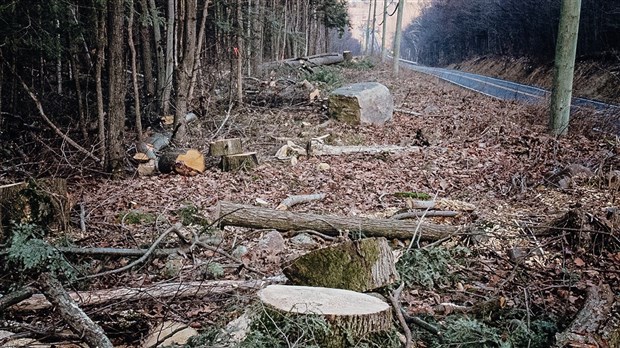 Hydro-Québec laisse un paysage désolant dans la montagne de Rigaud