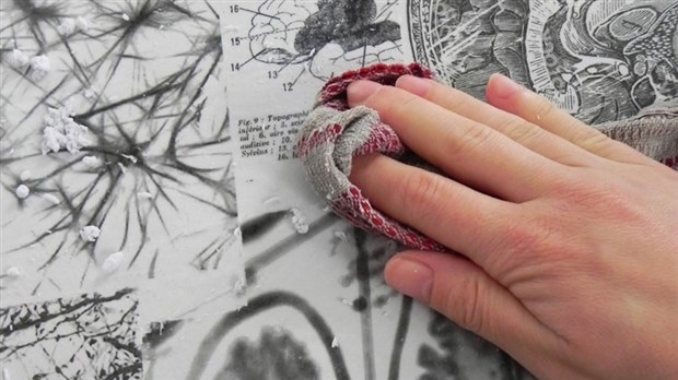 Marjorie Taillefer fait son entrée à la Maison Félix-Leclerc