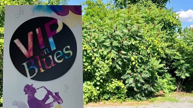 Le VIP en Blues prend le relais de la Perrot Fête