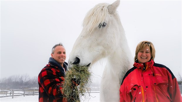 Secours AHT: offrir une deuxième vie aux chevaux