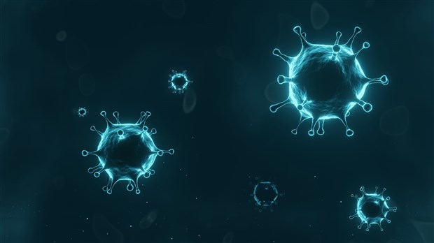 Vaudreuil-Dorion compte une quarantaine de cas d'infection
