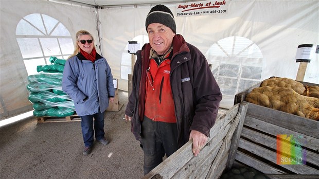 Des patates locales pour nos gens d'ici