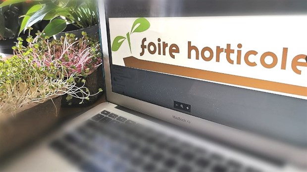 Compost, copeaux de bois et arbustes à prix modique en mai à Vaudreuil-Dorion 