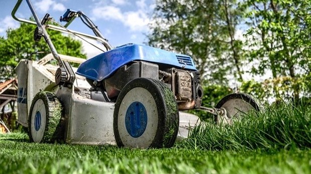La meilleure tondeuse pour son jardin : une étude estivale