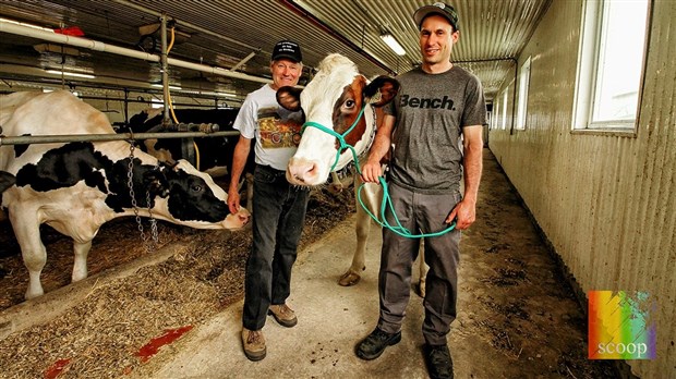 Une très grande distinction pour des producteurs de lait de Saint-Polycarpe
