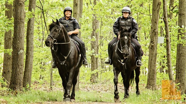Des chevaux pour informer et sensibiliser les amateurs de plein air à Saint-Lazare 