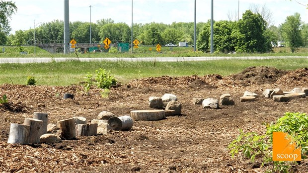 Implantation d’une forêt nourricière au Boisé Quatre-Saisons de Coteau-du-Lac 