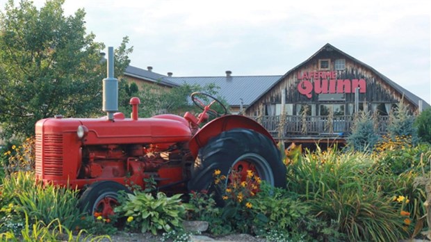 Place aux soirées cinémas cet été à Notre-Dame-de-l’Île-Perrot