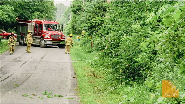 Un arbre tombe sur des fils électriques à Sainte-Marthe 