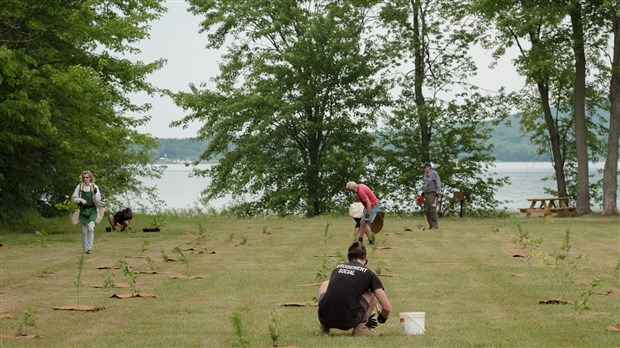 Les citoyens plantent 750 arbres et arbustes au Parc Thompson de Hudson 
