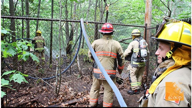 Un fil de moyenne tension met le feu à une forêt à Vaudreuil-Dorion