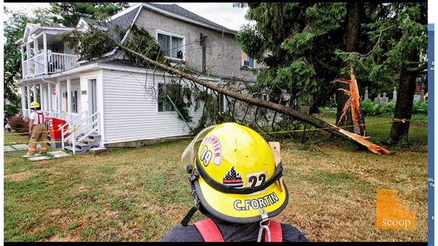 Un arbre s'effondre sur une ligne à basse tension à Saint-Télesphore 