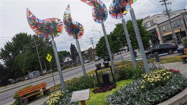 La belle époque du quartier Harwood exposée sur des panneaux historiques 