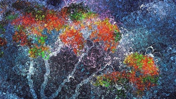 Programme d'Innovation Numérique: l'appel de projet se poursuit