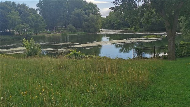 Baignade interdite sur les rives de Parcs Canada à Coteau-du-Lac 