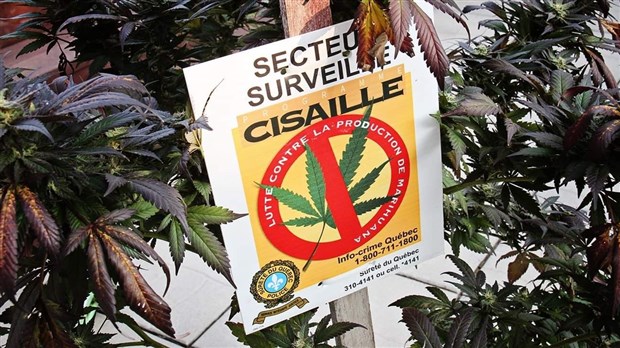 Des voleurs se font passer pour des policiers