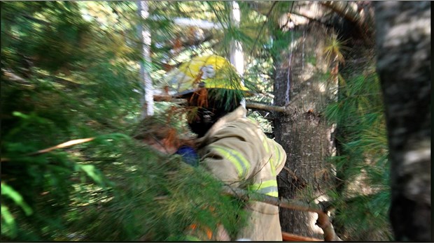 Une jeune aventurière téméraire de 5 ans est secourue par les pompiers de Saint-Lazare 