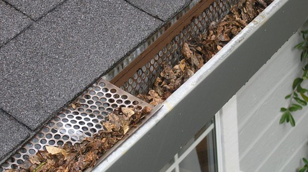 LES AVANTAGES DE PARE-FEUILLES POUR LES GOUTTIÈRES
