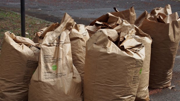 Collectes de feuilles: connaissez-vous toutes vos options écologiques? 