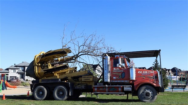 Plantation d'arbres en cours à Vaudreuil-Dorion 